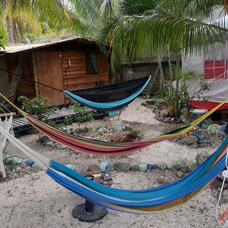 Sustainable Cabain Apartment Cozumel Ngoại thất bức ảnh