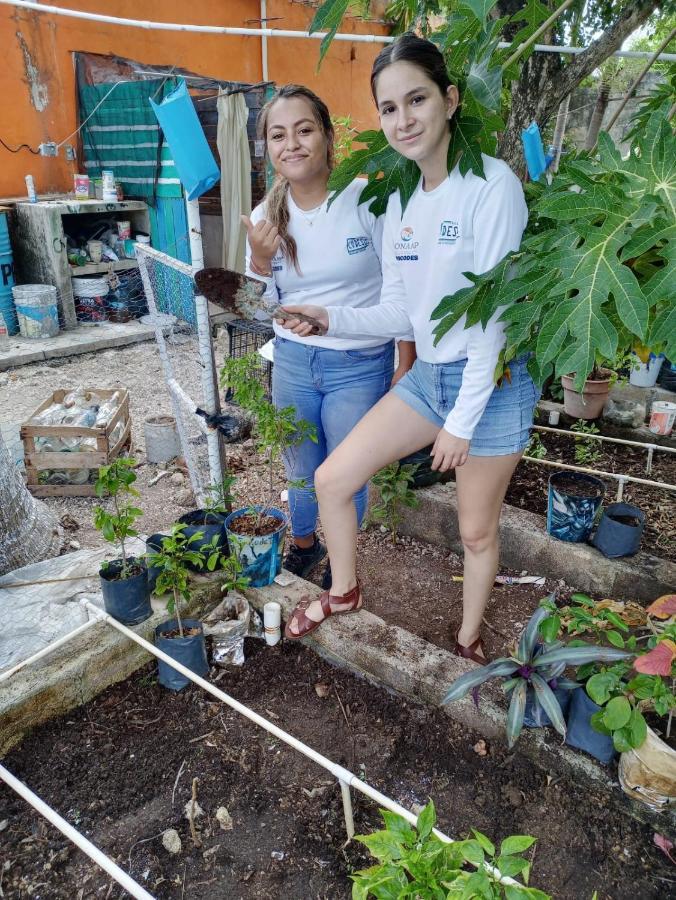 Sustainable Cabain Apartment Cozumel Ngoại thất bức ảnh