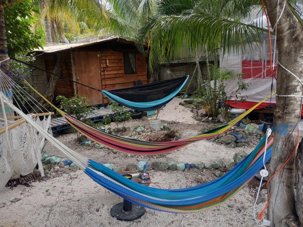 Sustainable Cabain Apartment Cozumel Ngoại thất bức ảnh
